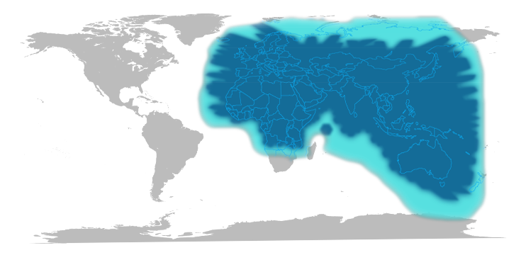 Thuraya